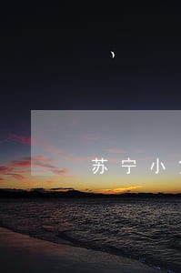 苏宁小贷只要一逾期就传征信吗 苏宁小贷只要一逾期就传征信吗