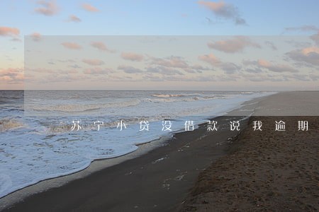 苏宁小贷没借款说我逾期 苏宁小贷没借款说我逾期