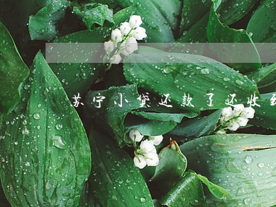 苏宁小贷还款了还收到逾期 苏宁小贷还款了还收到逾期