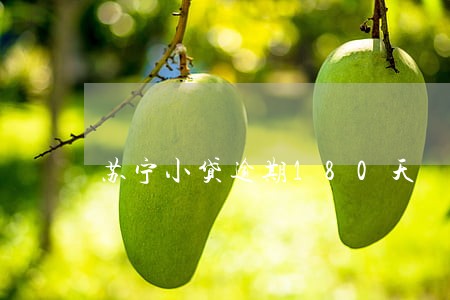 苏宁小贷逾期180天 苏宁小贷逾期180天
