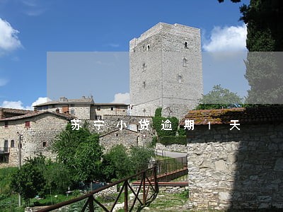 苏宁小贷逾期1天