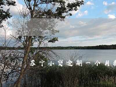 苏宁小贷逾期一个月都没有通知 苏宁小贷逾期一个月都没有通知