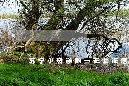 苏宁小贷逾期一天上征信 苏宁小贷逾期一天上征信