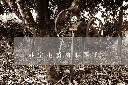 苏宁小贷逾期两千