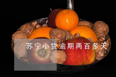 苏宁小贷逾期两百多天