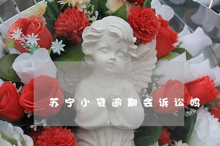 苏宁小贷逾期会诉讼吗 苏宁小贷逾期会诉讼吗