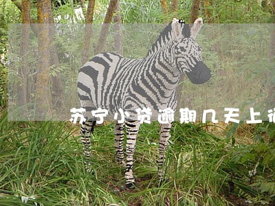 苏宁小贷逾期几天上征信 苏宁小贷逾期几天上征信