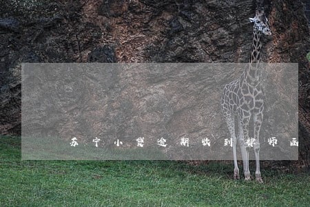 苏宁小贷逾期收到律师函 苏宁小贷逾期收到律师函