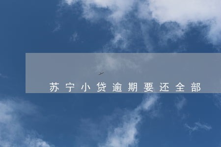 苏宁小贷逾期要还全部 苏宁小贷逾期要还全部