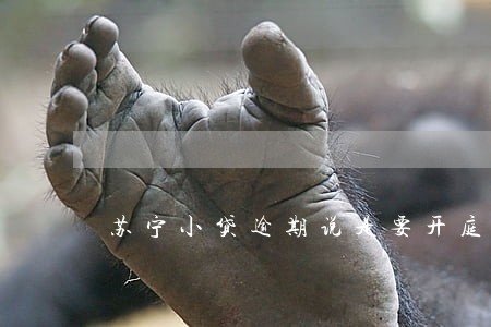 苏宁小贷逾期说是要开庭审理 苏宁小贷逾期说是要开庭审理