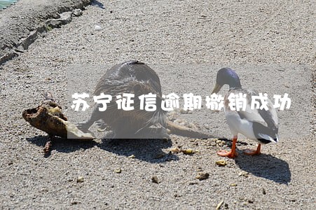 苏宁征信逾期撤销成功 苏宁征信逾期撤销成功