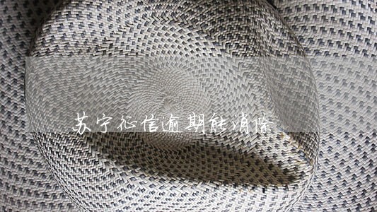 苏宁征信逾期能消除 苏宁征信逾期能消除