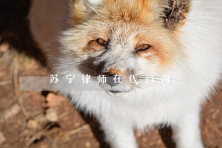 苏宁律师在线咨询 苏宁律师在线咨询