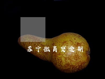 苏宁微商贷逾期 苏宁微商贷逾期