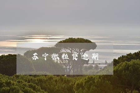 苏宁微粒贷逾期 苏宁微粒贷逾期