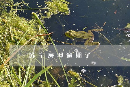 苏宁房押逾期了 苏宁房押逾期了
