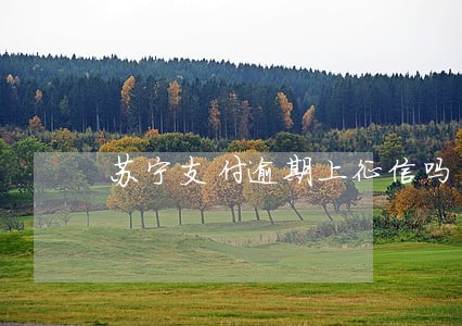 苏宁支付逾期上征信吗 苏宁支付逾期上征信吗
