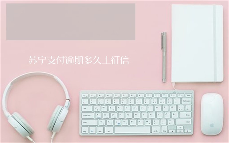 苏宁支付逾期多久上征信 苏宁支付逾期多久上征信