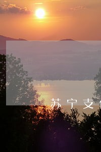苏宁支付逾期怎么办 苏宁支付逾期怎么办