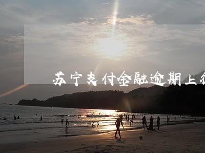 苏宁支付金融逾期上征信吗 苏宁支付金融逾期上征信吗