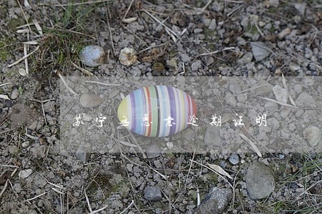 苏宁无恶意逾期证明 苏宁无恶意逾期证明