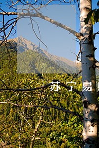 苏宁易购任性付两万逾期 苏宁易购任性付两万逾期