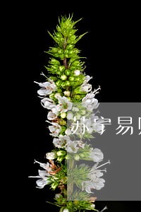 苏宁易购任性付逾期 苏宁易购任性付逾期