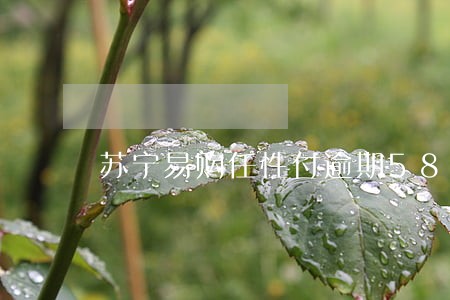 苏宁易购任性付逾期58天 苏宁易购任性付逾期58天