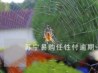 苏宁易购任性付逾期一天