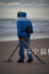 苏宁易购任性付逾期一年 苏宁易购任性付逾期一年