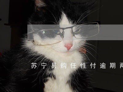 苏宁易购任性付逾期两年 苏宁易购任性付逾期两年
