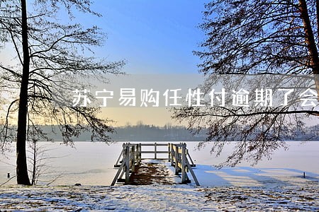 苏宁易购任性付逾期了会怎么样 苏宁易购任性付逾期了会怎么样