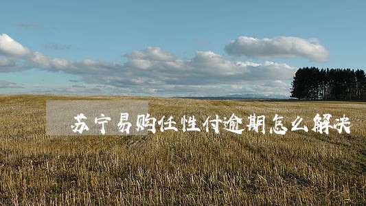 苏宁易购任性付逾期怎么解决 苏宁易购任性付逾期怎么解决