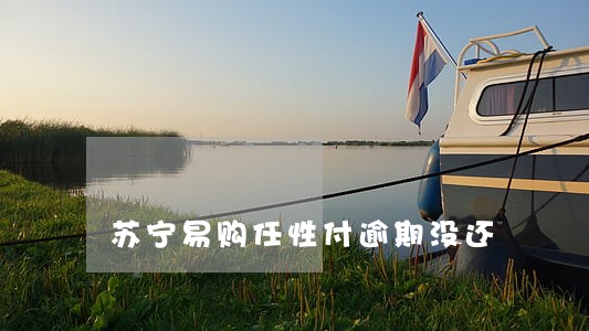 苏宁易购任性付逾期没还 苏宁易购任性付逾期没还