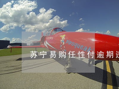苏宁易购任性付逾期违约金 苏宁易购任性付逾期违约金