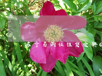 苏宁易购任性贷逾期6 苏宁易购任性贷逾期6