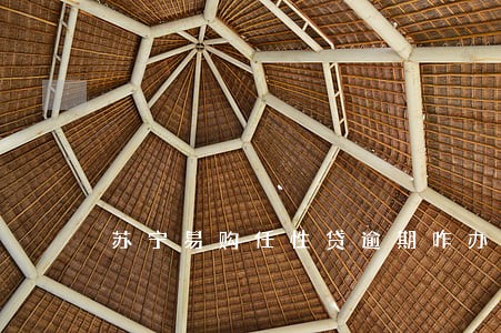 苏宁易购任性贷逾期咋办 苏宁易购任性贷逾期咋办