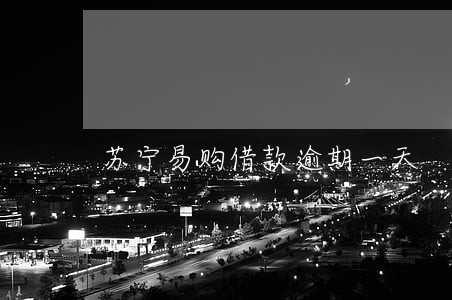 苏宁易购借款逾期一天 苏宁易购借款逾期一天