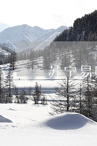 苏宁易购借钱逾期几天 苏宁易购借钱逾期几天