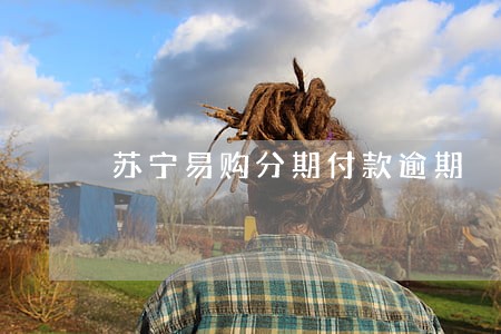 苏宁易购分期付款逾期 苏宁易购分期付款逾期