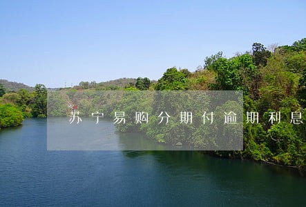 苏宁易购分期付逾期利息 苏宁易购分期付逾期利息