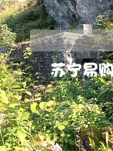 苏宁易购分期逾期 苏宁易购分期逾期
