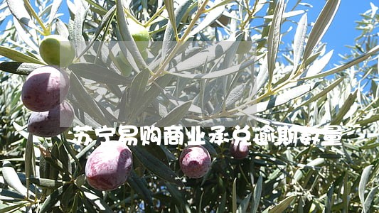 苏宁易购商业承兑逾期数量 苏宁易购商业承兑逾期数量