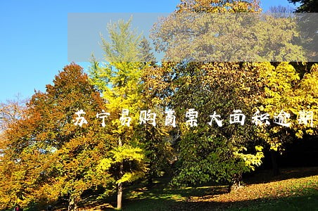 苏宁易购商票大面积逾期 苏宁易购商票大面积逾期