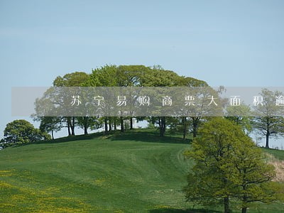 苏宁易购商票大面积逾期拒付款 苏宁易购商票大面积逾期拒付款