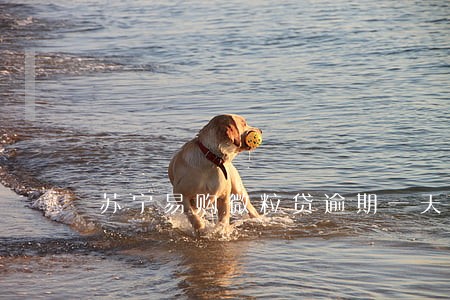 苏宁易购微粒贷逾期一天会怎么样 苏宁易购微粒贷逾期一天会怎么样