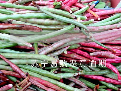 苏宁易购恶意逾期 苏宁易购恶意逾期
