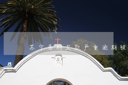 苏宁易购欠款严重逾期被告 苏宁易购欠款严重逾期被告