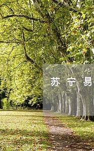 苏宁易购欠钱还不上逾期了 苏宁易购欠钱还不上逾期了
