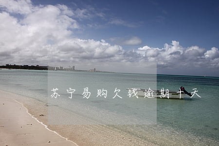 苏宁易购欠钱逾期十天 苏宁易购欠钱逾期十天